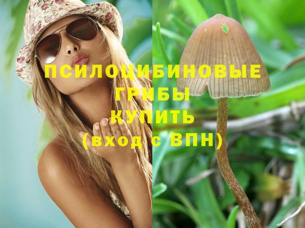 мескалин Бронницы