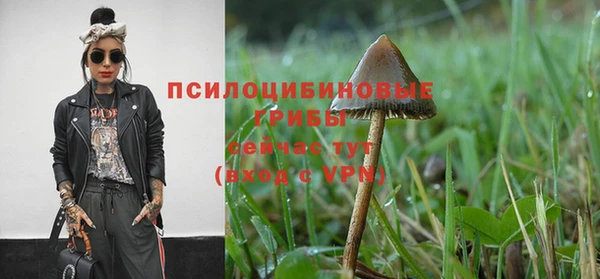 гашиш Белокуриха