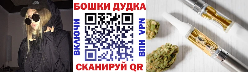 где купить наркоту  Заинск  MEGA зеркало  МАРИХУАНА индика 